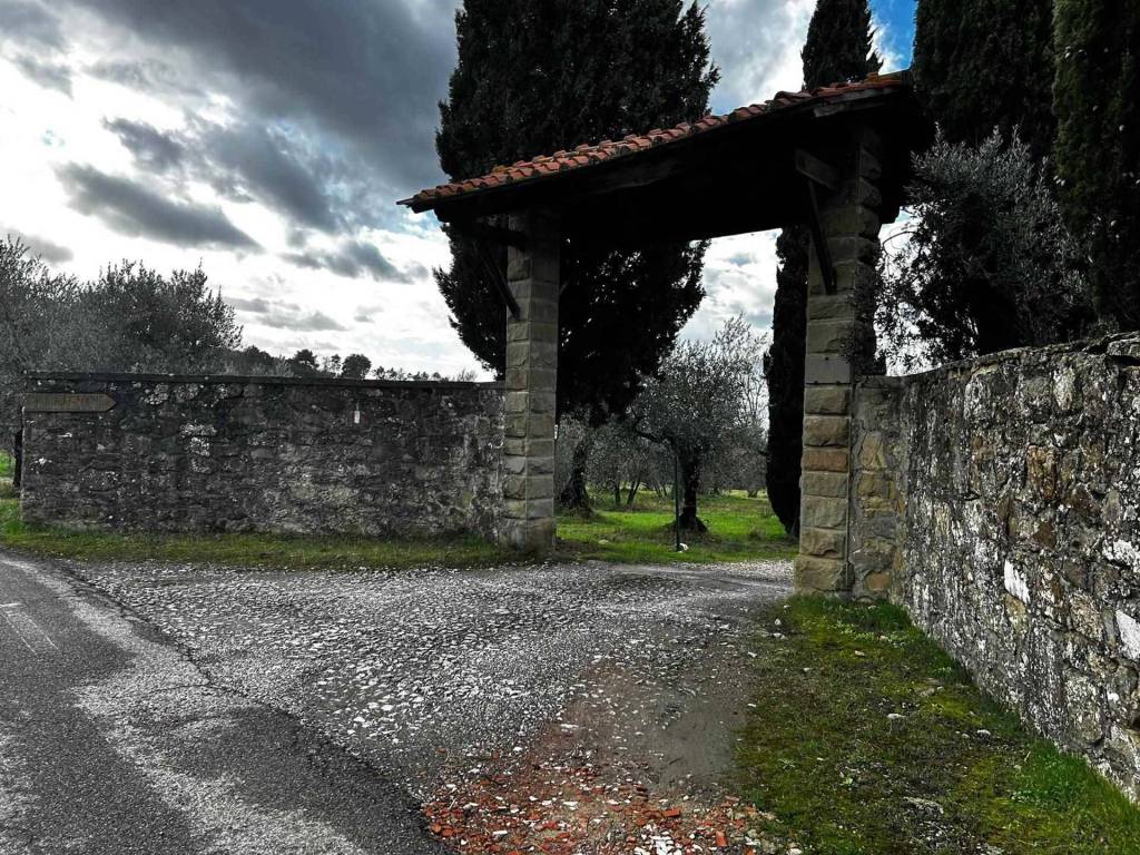 immagine annuncio 2 di 8