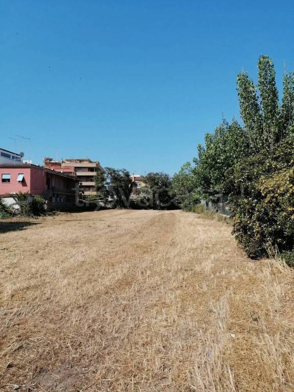 immagine annuncio 3 di 6