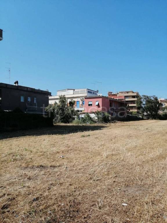 immagine annuncio 4 di 6