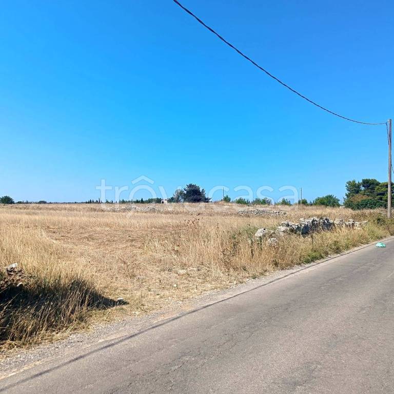 immagine annuncio 1 di 8