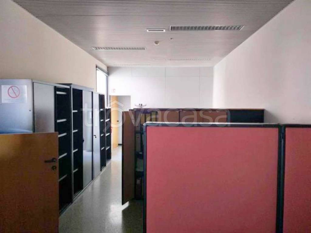 immagine annuncio 5 di 14