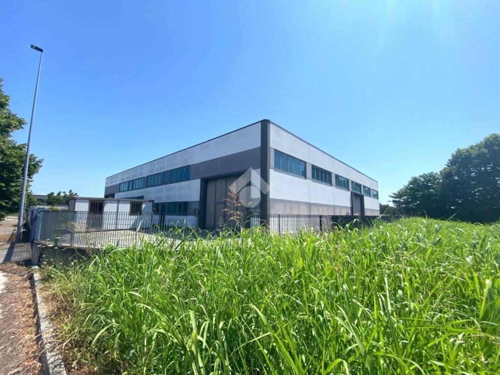 immagine annuncio 14 di 15