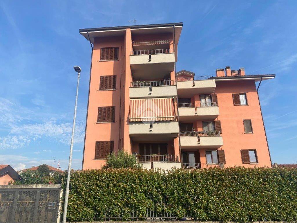 immagine annuncio 3 di 15