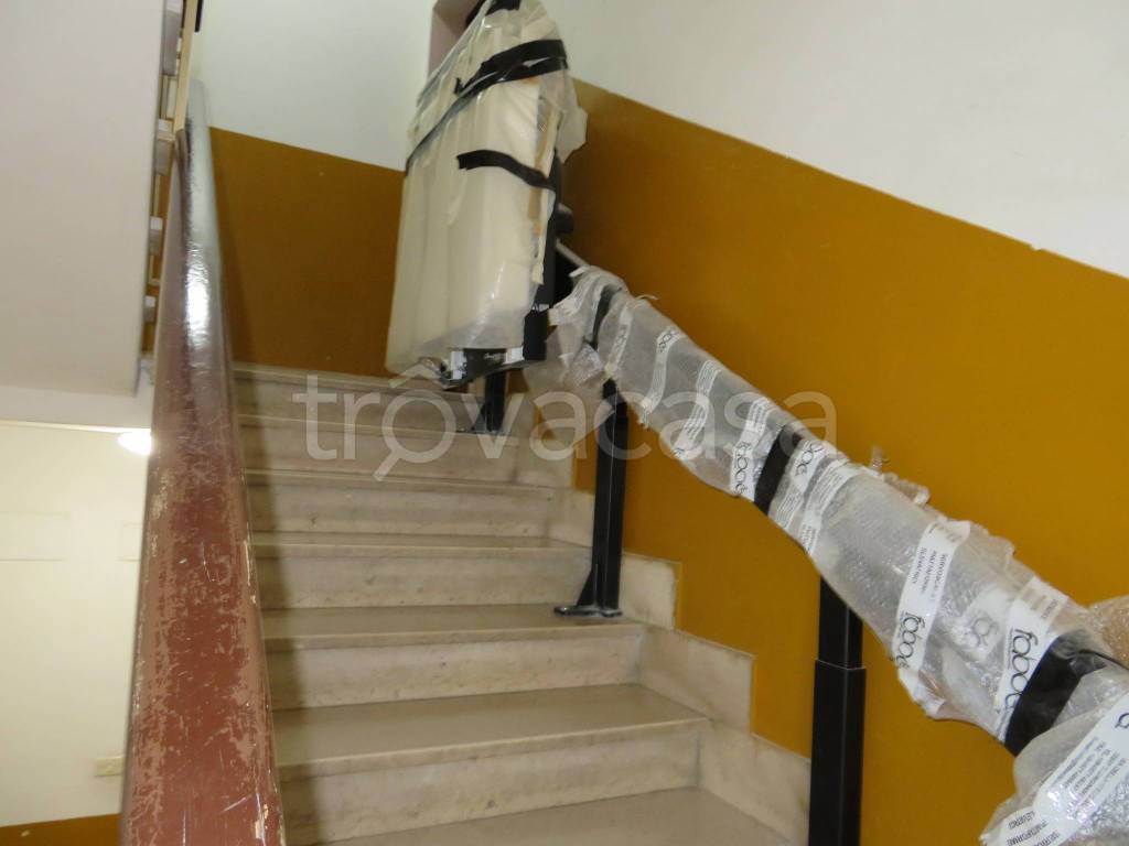 immagine annuncio 8 di 14