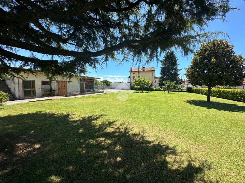 immagine annuncio 3 di 7