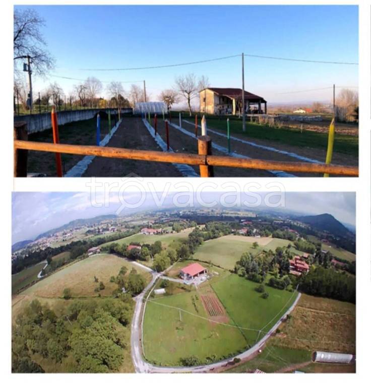 immagine annuncio 1 di 2