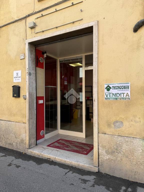 immagine annuncio 13 di 14