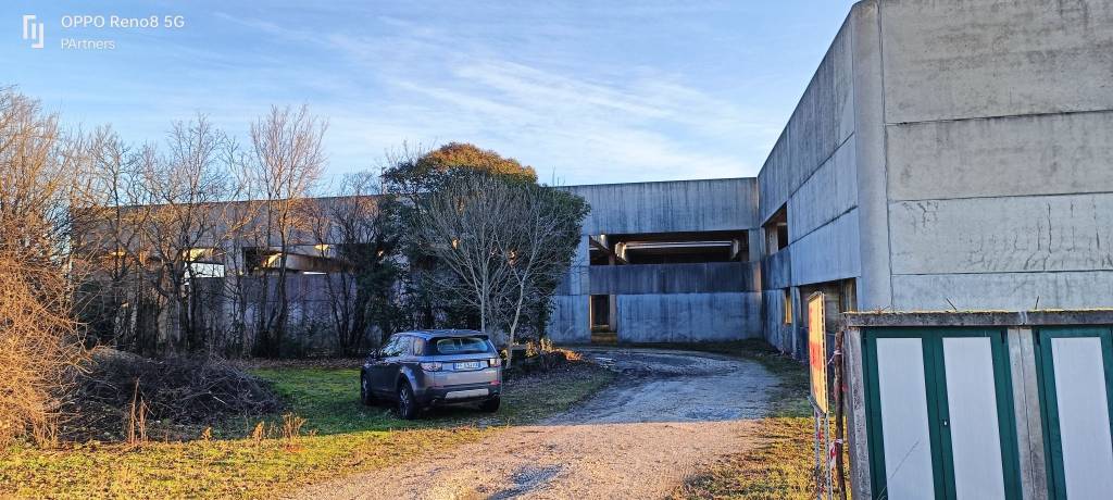 immagine annuncio 2 di 12