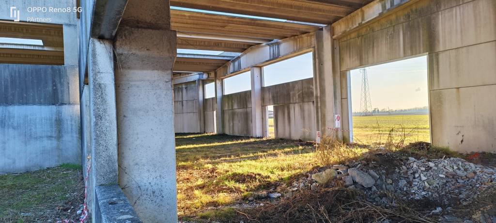 immagine annuncio 3 di 12