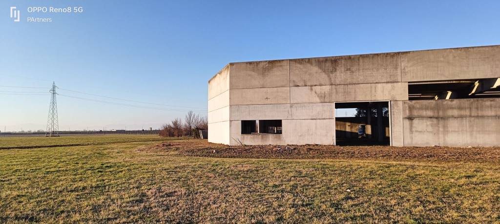 immagine annuncio 6 di 12