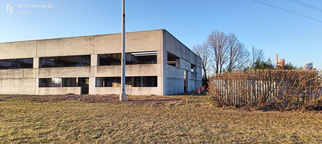 immagine annuncio 7 di 12