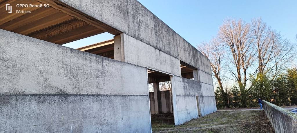 immagine annuncio 8 di 12