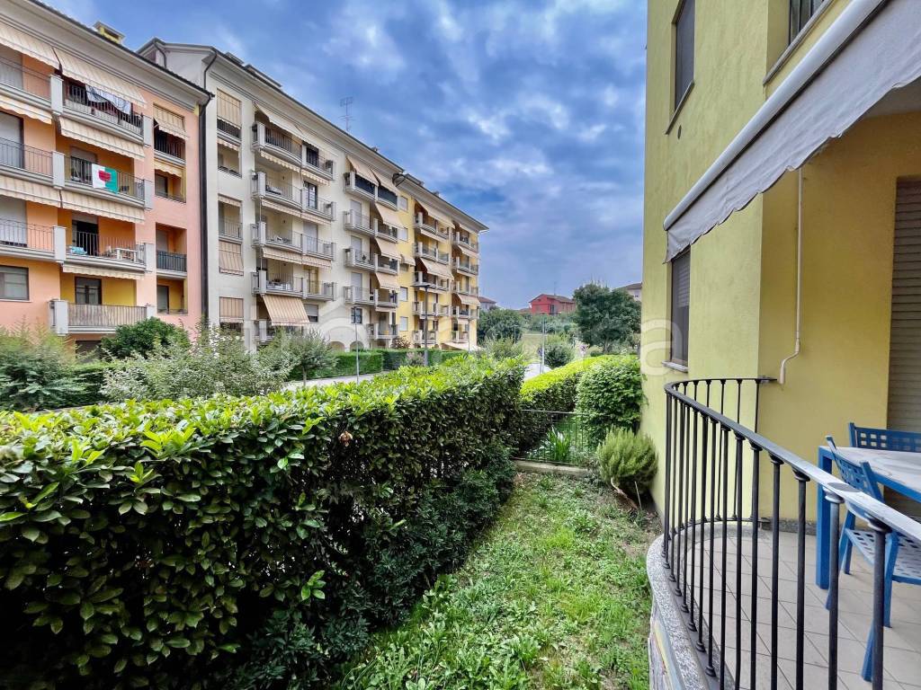 immagine annuncio 10 di 15