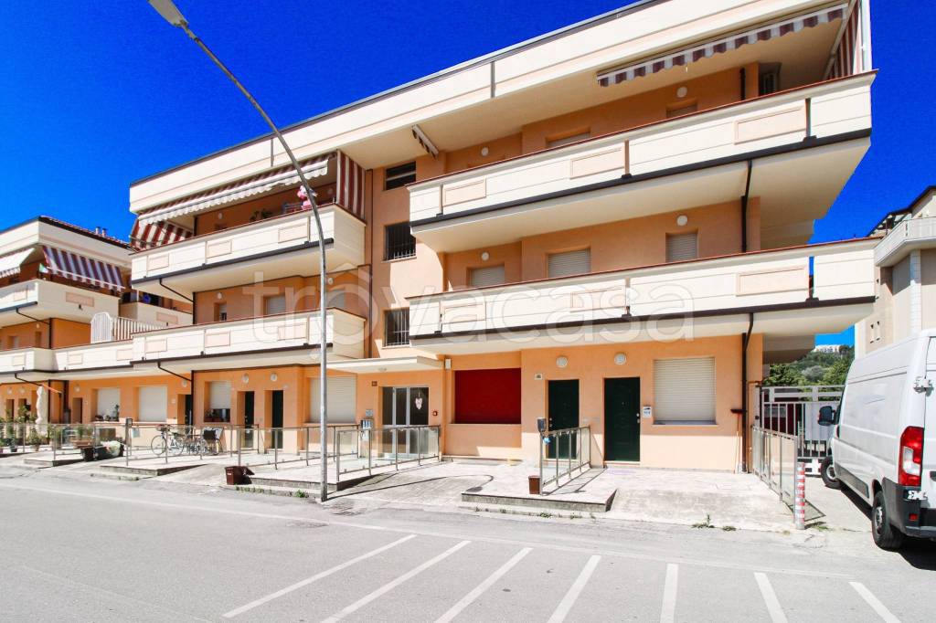 immagine annuncio 1 di 14