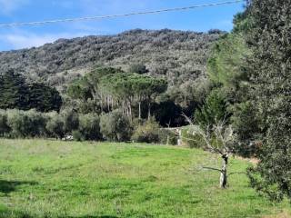 Terreno agricolo in vendita a castiglione della pescaia strada provinciale delle collacchie