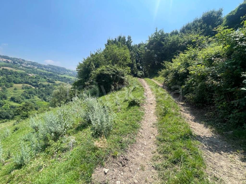 immagine annuncio 2 di 3