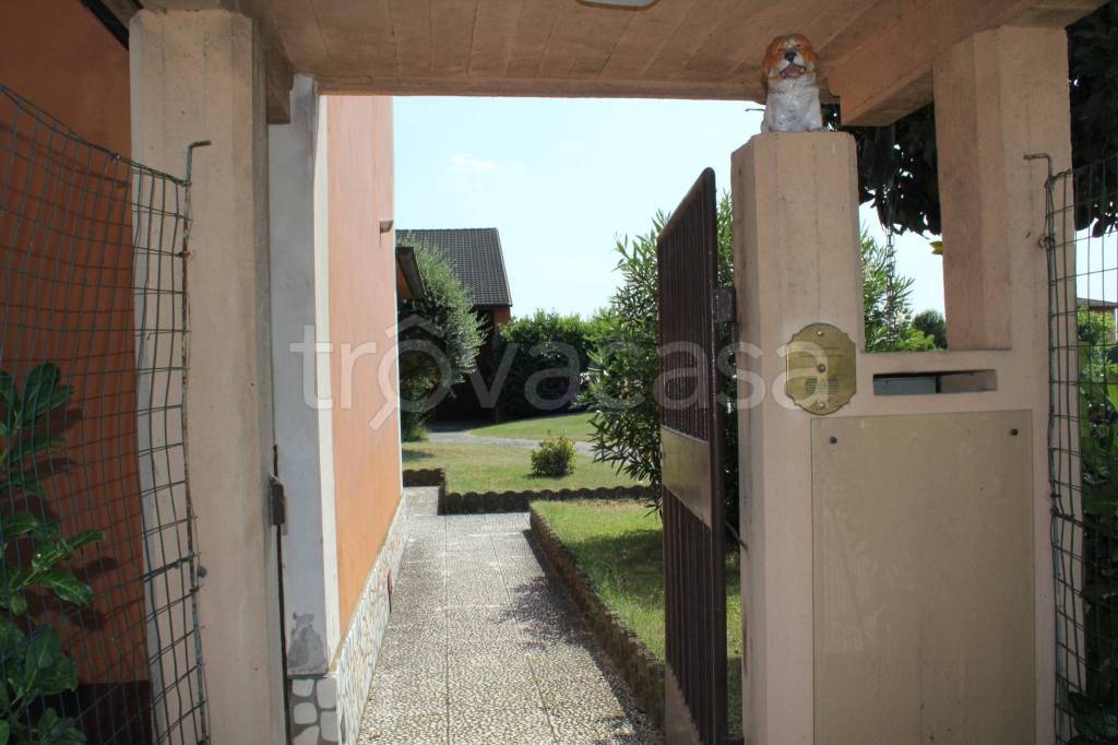 immagine annuncio 8 di 15