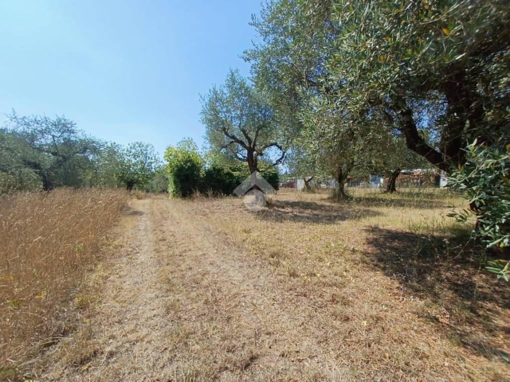 immagine annuncio 1 di 4