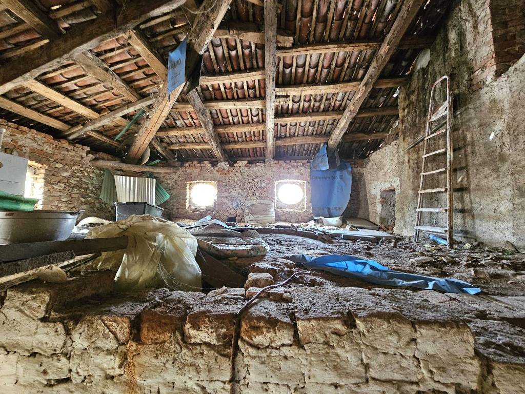 immagine annuncio 11 di 12