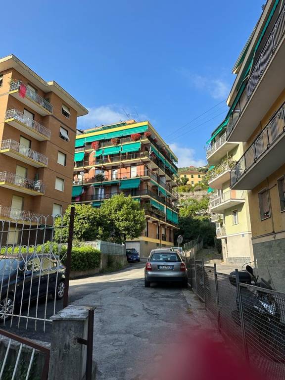 immagine annuncio 11 di 12