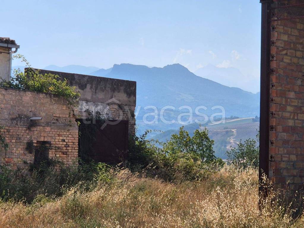 immagine annuncio 12 di 14