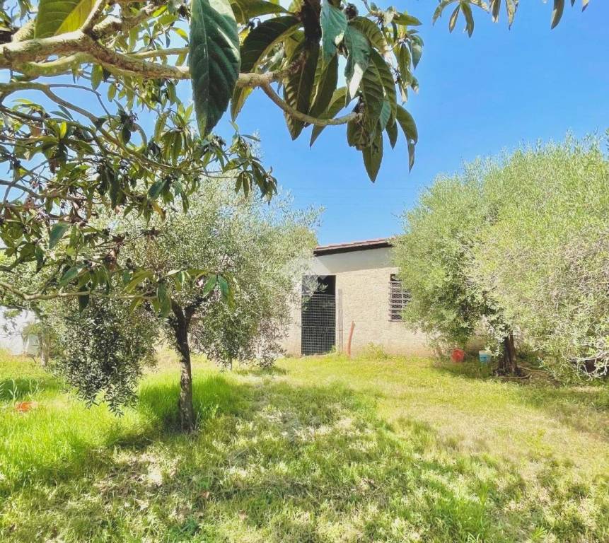 immagine annuncio 2 di 14
