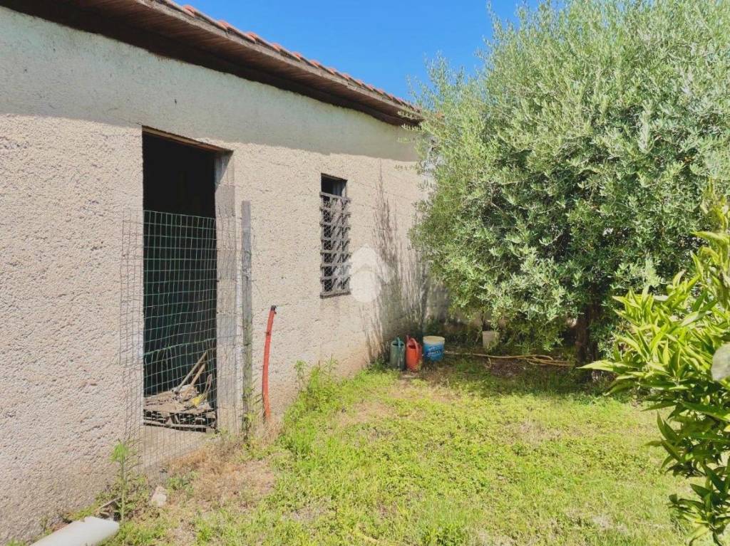 immagine annuncio 4 di 14