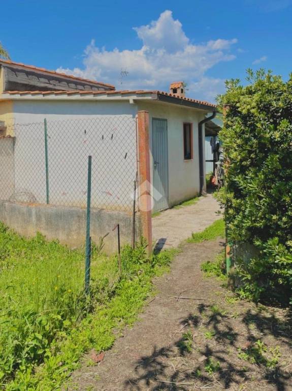 immagine annuncio 10 di 14
