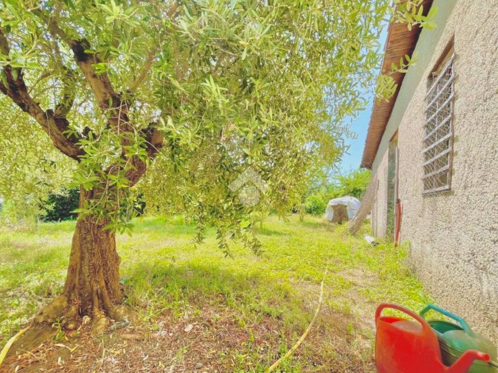 immagine annuncio 11 di 14