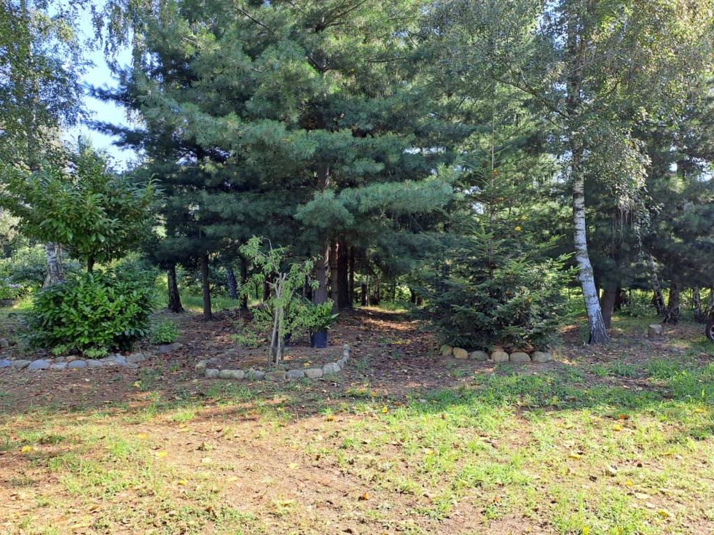 immagine annuncio 6 di 9