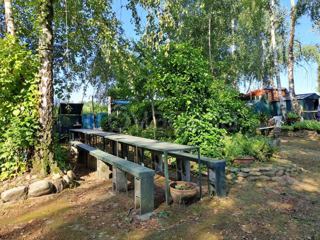 immagine annuncio 4 di 9