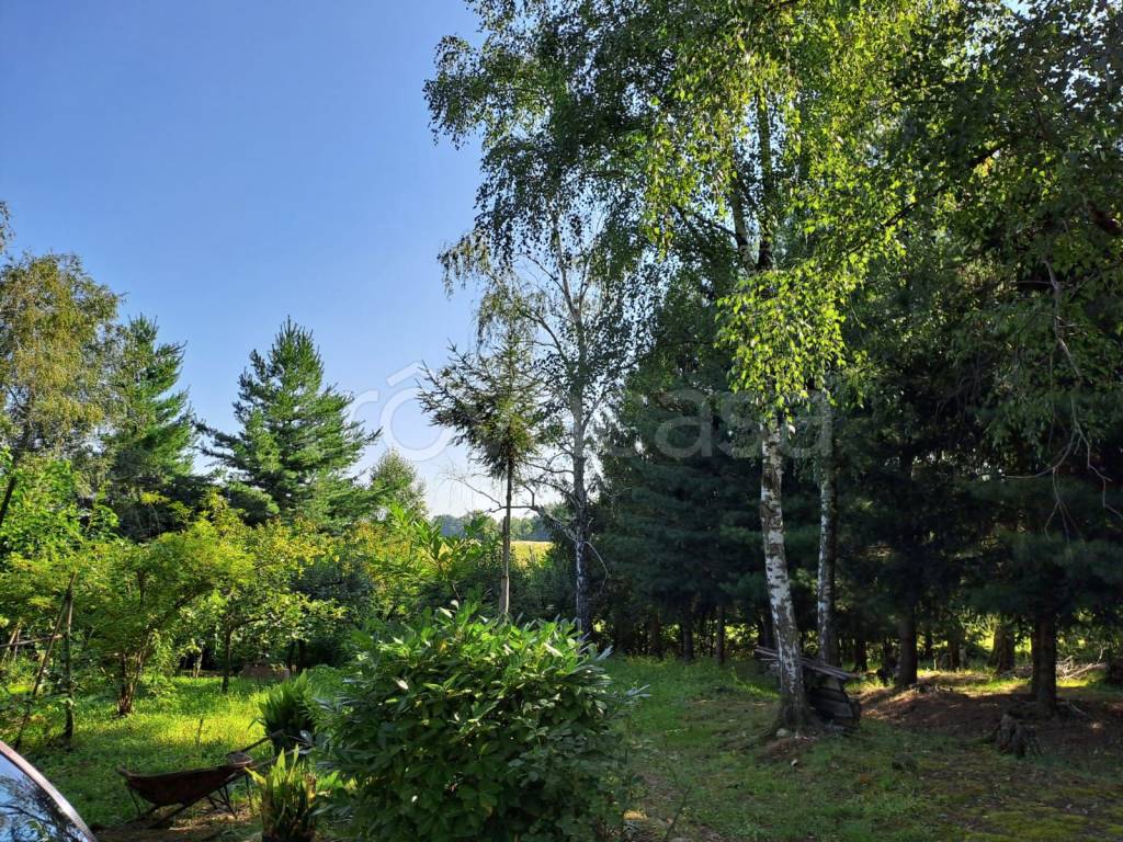 immagine annuncio 8 di 9