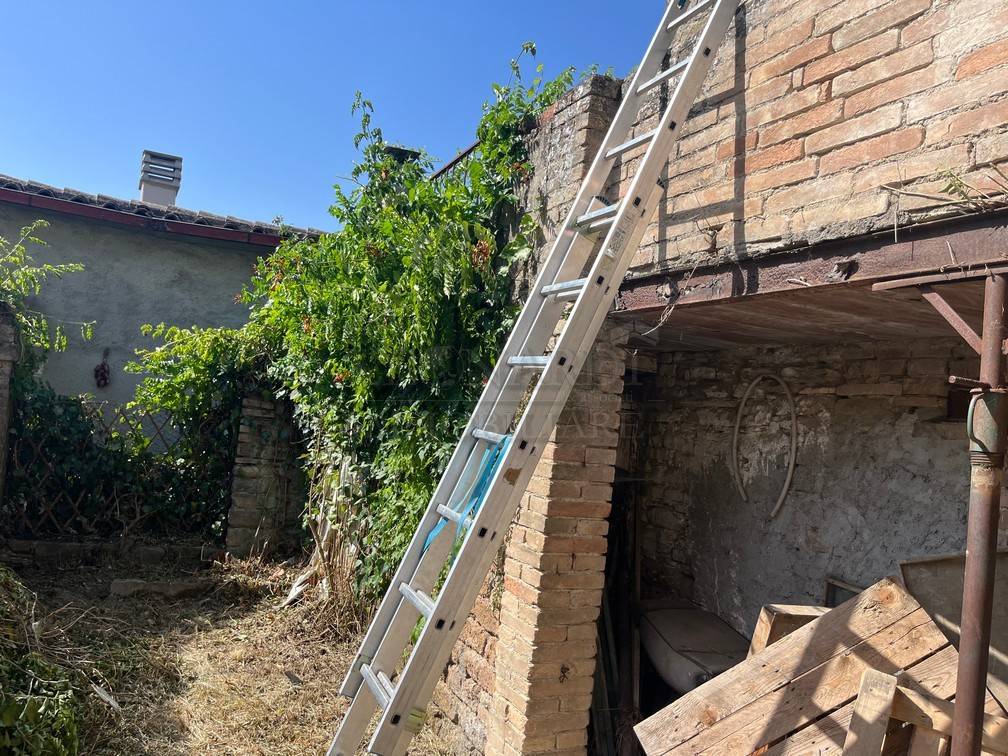 immagine annuncio 3 di 11