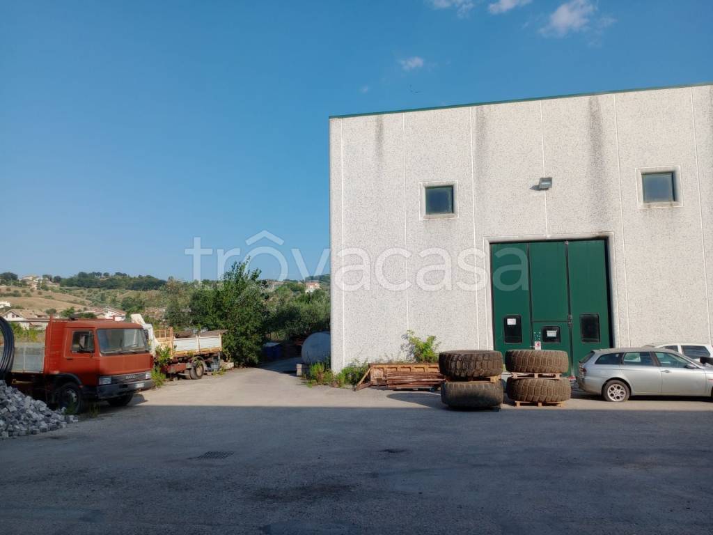 immagine annuncio 2 di 11