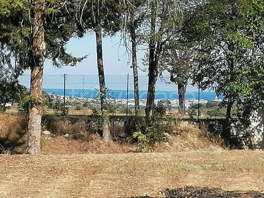 immagine annuncio 1 di 2