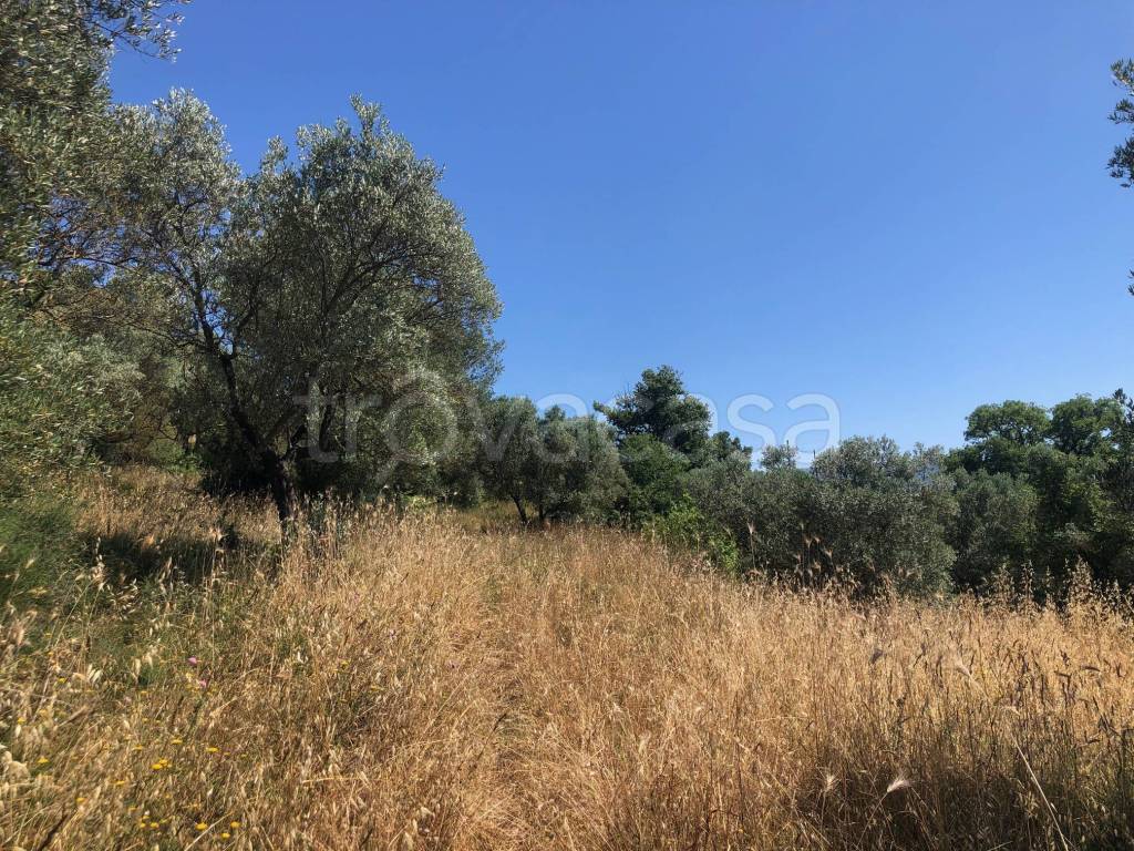 immagine annuncio 5 di 14