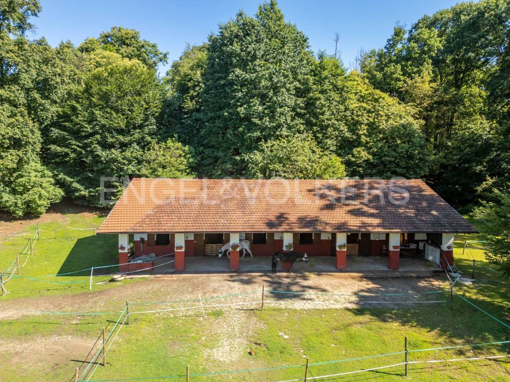 immagine annuncio 9 di 12