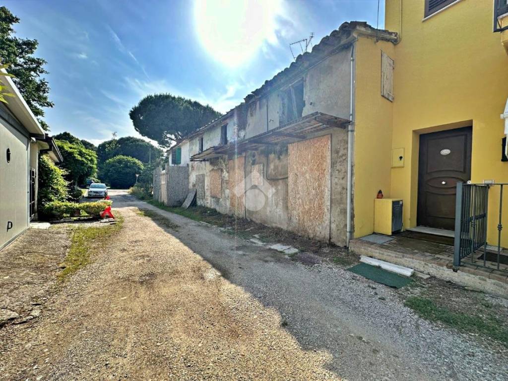 immagine annuncio 7 di 13