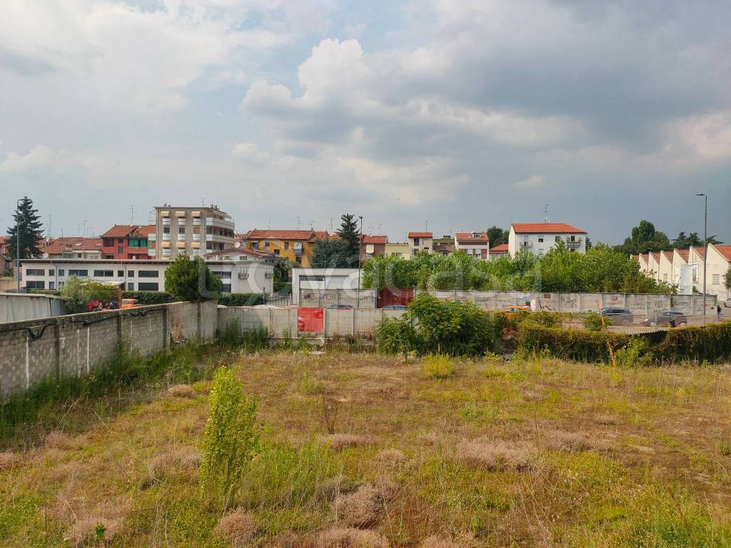 immagine annuncio 6 di 15