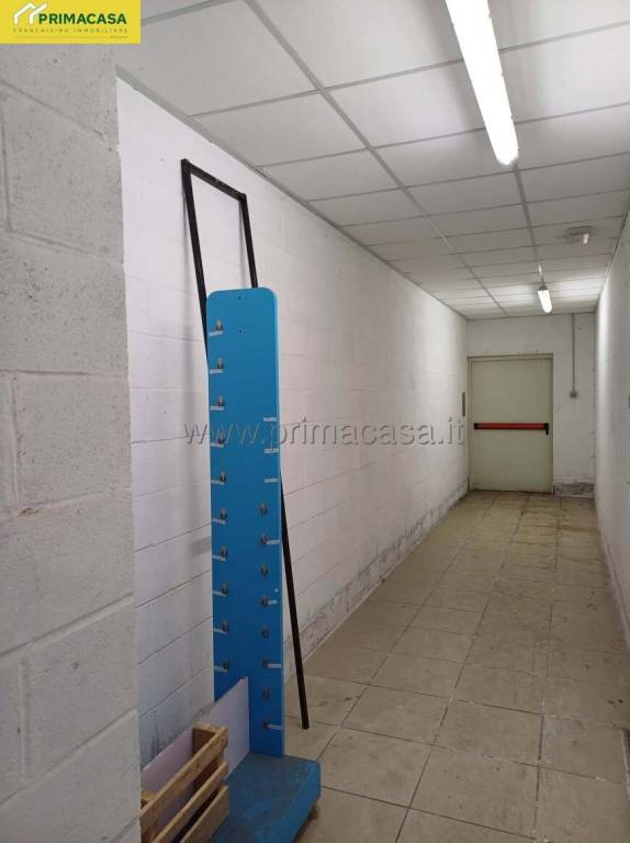 immagine annuncio 5 di 8