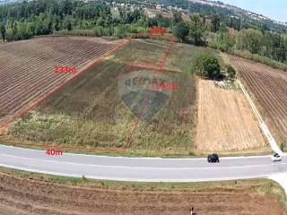 Terreno agricolo in vendita a monte roberto 