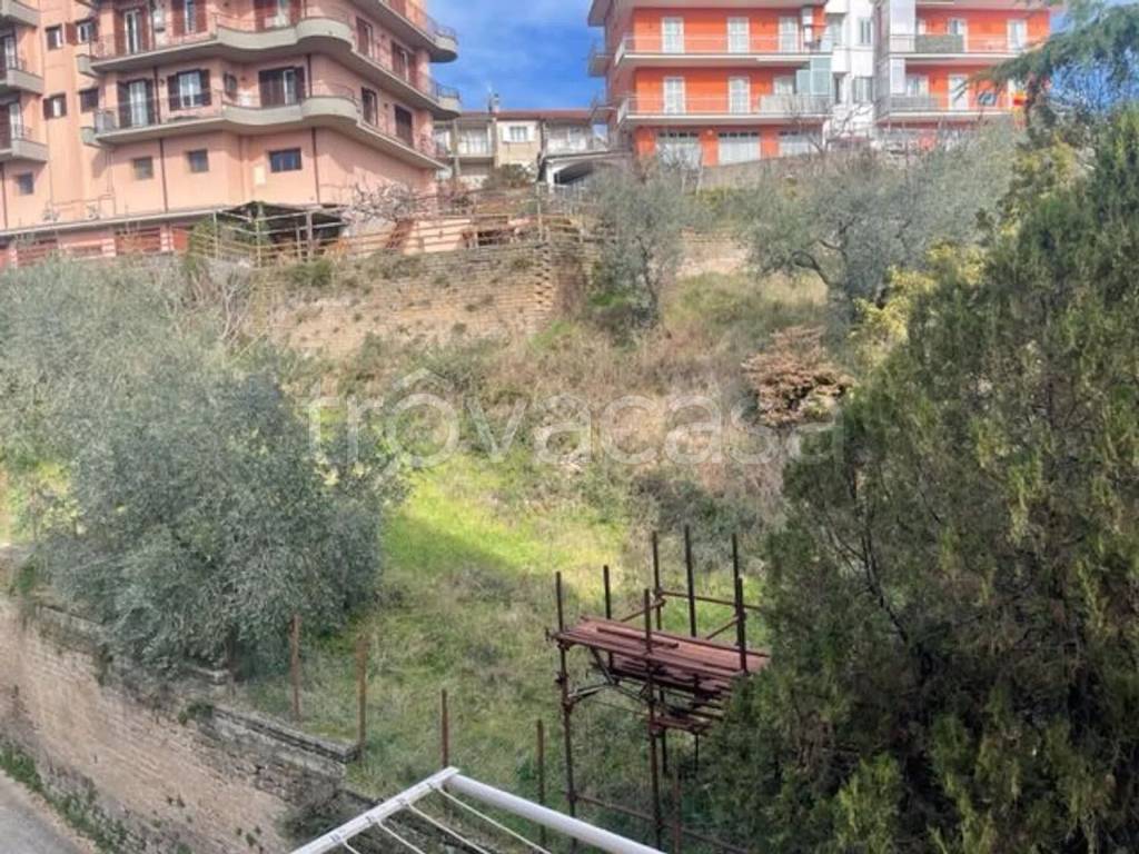 immagine annuncio 5 di 7