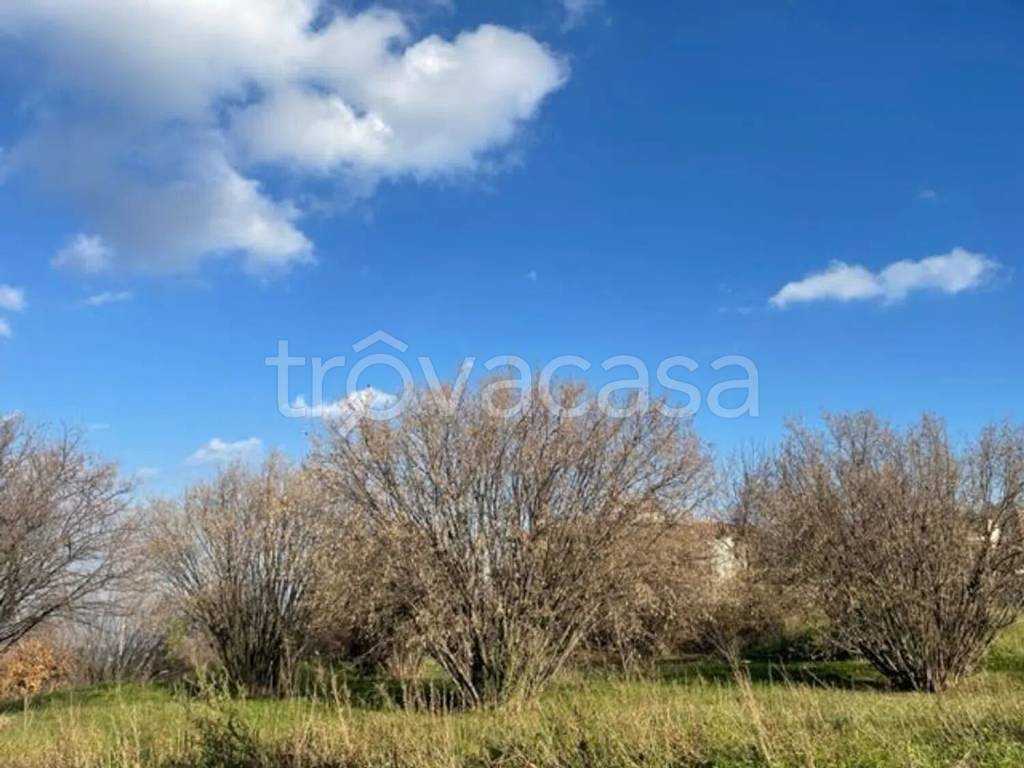 immagine annuncio 9 di 11