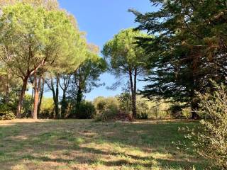 Terreno agricolo in vendita a piombino 