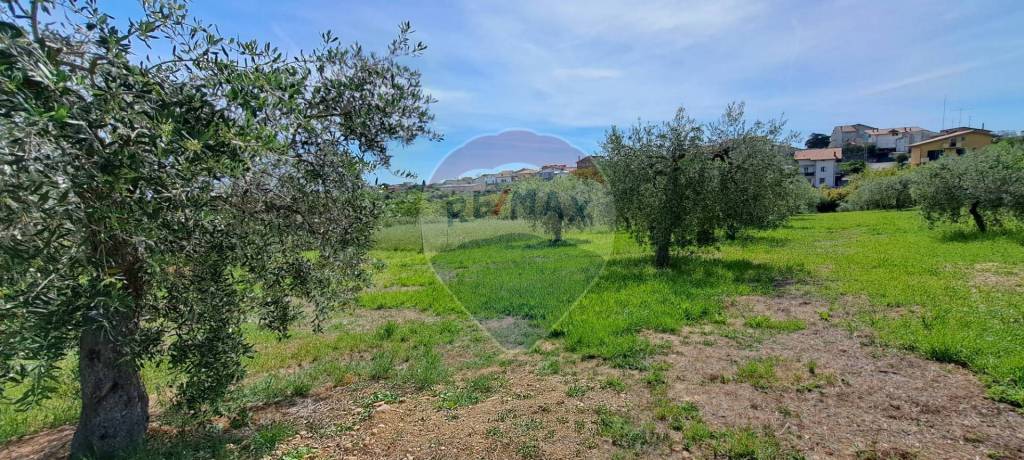 immagine annuncio 6 di 9