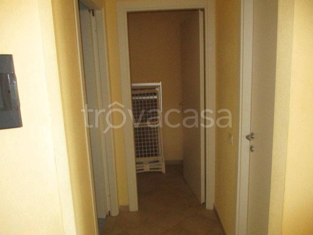 immagine annuncio 4 di 8