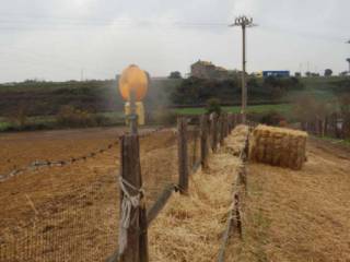 Terreno agricolo all'asta a viterbo strada della volpara