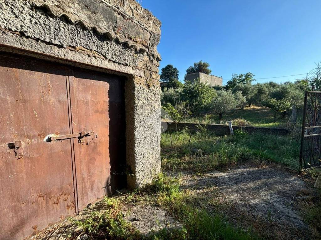 immagine annuncio 1 di 14