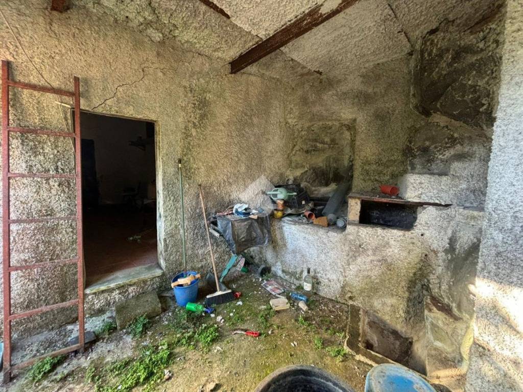 immagine annuncio 7 di 14