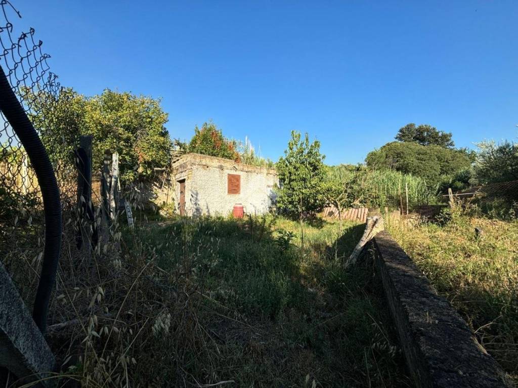 immagine annuncio 9 di 14